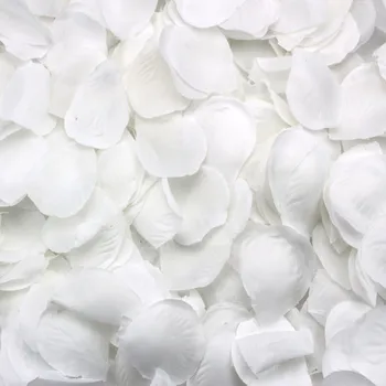 500 Rožių žiedlapiai išsibarstę balta dekoracija Vestuvių vakarėlis