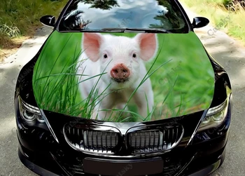 Naminių kiaulių gyvūnas Automobilio gaubto lipdukas Vinilo lipdukas Grafinis apvyniojimas Lipdukas Grafinis gaubtas Lipdukas daugumai transporto priemonių Pasirinktinė grafika